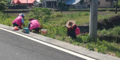 中眉岙村翠姐姐巾帼志愿服务