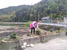 垃圾分类，种植绿化
