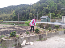 垃圾分类，种植绿化