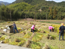 平水镇中眉岙村翠姐姐巾帼志愿服务活动