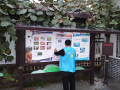 平水镇中眉岙村翠姐姐巾帼志愿服务活动
