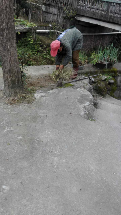 环境卫生共参与