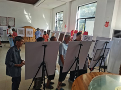 建吴居展览活志愿活动