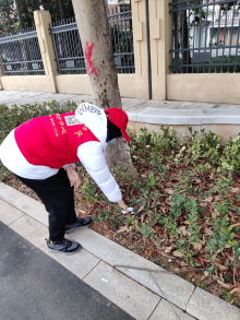 文明单位志愿行