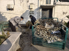 人居环境整治志愿活动