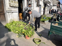 人居环境整治志愿活动