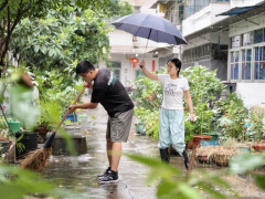 台风过后环境卫生整治