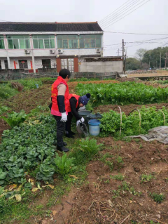 环境整治，靠你我他