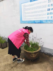 清除花坛杂草