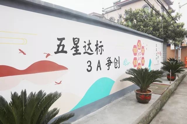 五星3A志愿服务