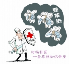 柯福社区登革热知识讲座