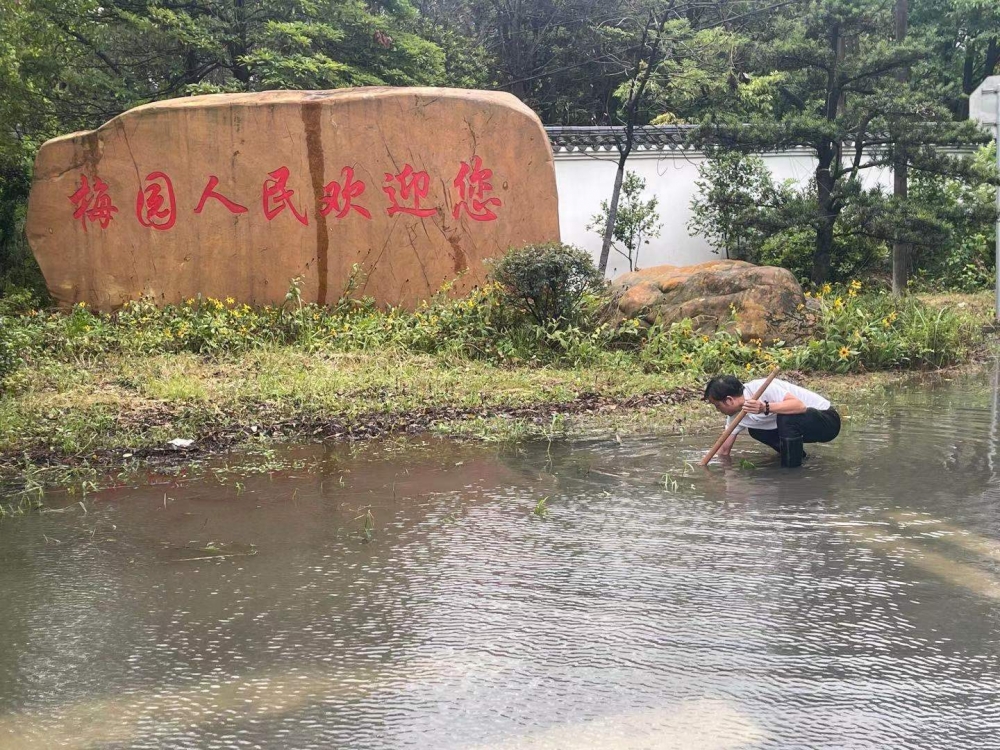 志愿者抗台志愿活动