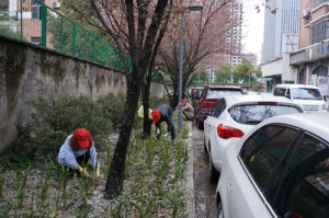 下市头社区“我为小区添绿意”绿化种植活动