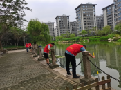 助力文明城市创建，清除福寿螺
