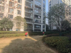 禹会社区开展节前环境卫生整治