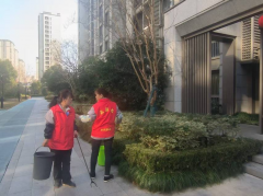 璞悦小区开展卫生清理