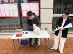 禹会社区开展犬类疫苗接种