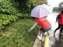 爱护环境，守护家园