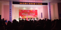 迎春晚会