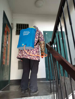 温渎兴越南区楼道消毒
