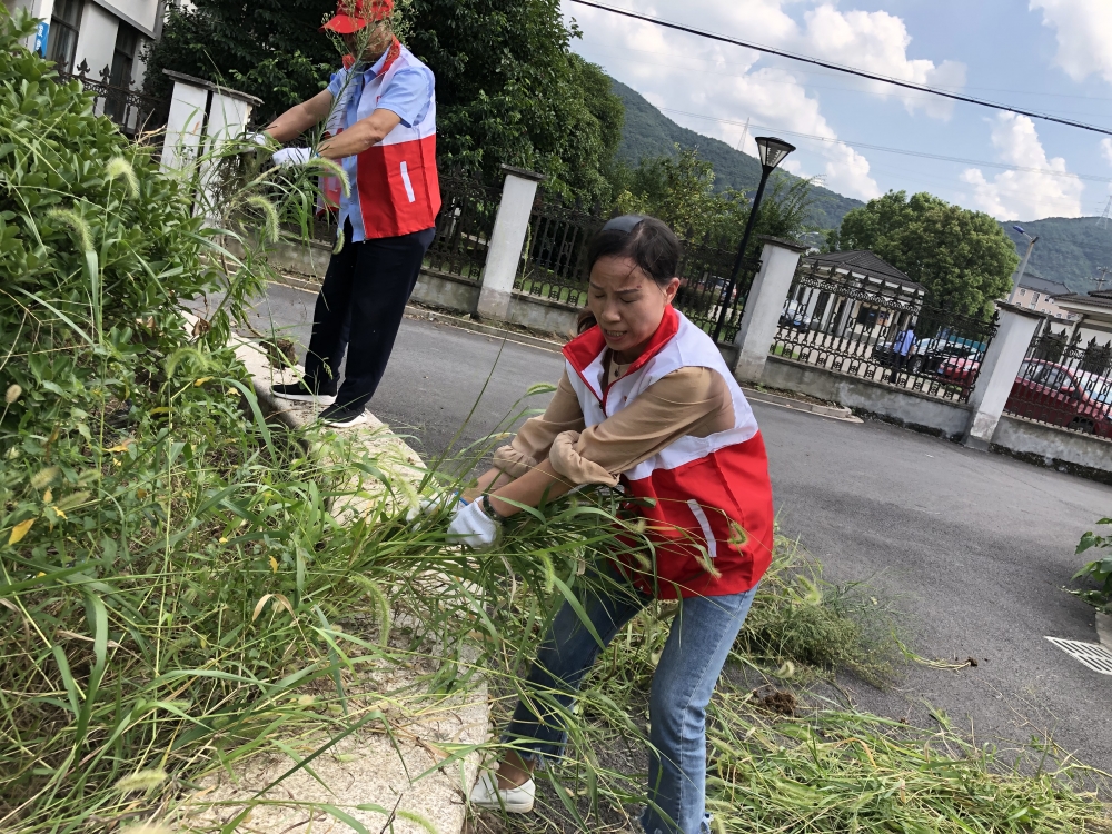 小区清理拔草志愿活动