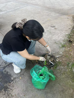 灭蚊灭蝇活动