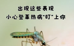 登革热知识宣传