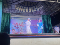杨汛桥街道芝塘湖村开展送戏下乡文艺活动