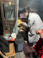叶家山顶入户医疗服务