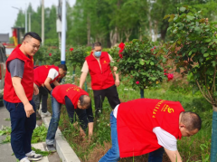 党员志愿服务活动