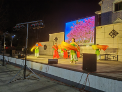 “舞动青春·共筑和谐”——长虹闸村安全生产月演出活动