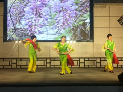 “五月风华·艺韵飞扬”——长虹闸村周末剧场文艺演出