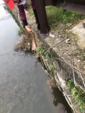 保护河道  志愿者在行动