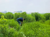 保护生态家园大鱼山在行动