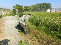 大鱼山村清除路旁杂草志愿活动