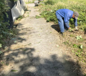 大鱼山村清除路旁杂草志愿活动