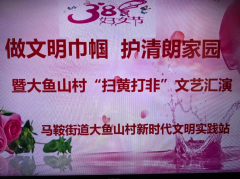做文明巾帼 护清朗家园 大鱼山村“扫黄打非”志愿活动