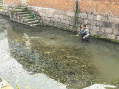 志愿护河 清理水草美化家园