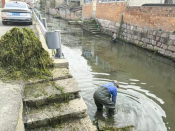 志愿护河 清理水草美化家园