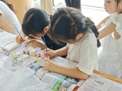暑期”小候鸟“夏令营活动
