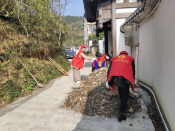 巾帼志愿者环境整治