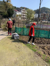 环境卫生整治