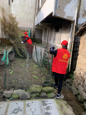 环境卫生整治