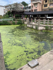 环境卫生整治