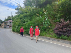 龙东村组织志愿者开展平安执勤活动