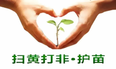 传递志愿力量，共建美好家园