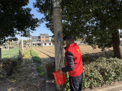 “净环境 美家园”小广告清除志愿活动