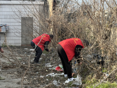 清理枯枝，守护绿意，植树节，我们在行动！