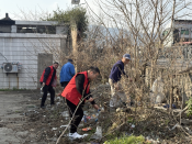 清理枯枝，守护绿意，植树节，我们在行动！