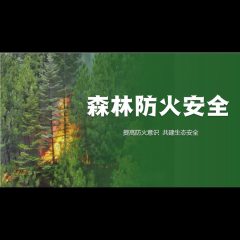 平安清明、巡山护林志愿行